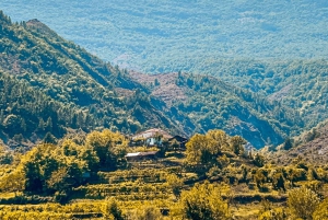 Escape from Tirana, Kruja Castle-Shkopeti Lake, Boat Trip