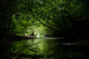 Beleef het Skadarmeer in 1 uur!