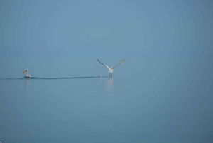 Beleef het Skadarmeer in 1 uur!