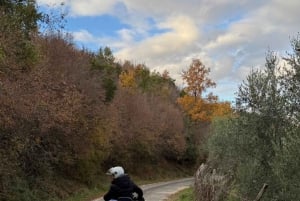 Tirana: Guided Quad Biking Tour