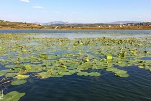 From Tirana: Explore Berat, Durrës & Belshi Lake