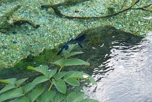 Explore Blue Eye- The Monument of Nature