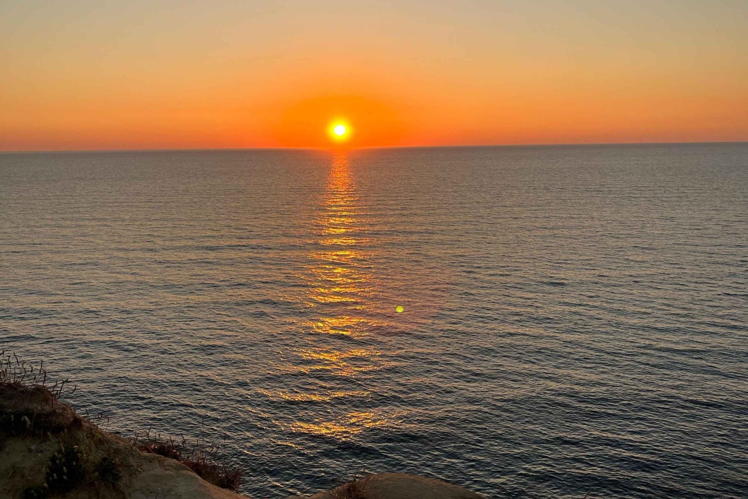 Wycieczka po dzikiej przyrodzie w najbardziej autentycznej i niedostępnej części Walencji.