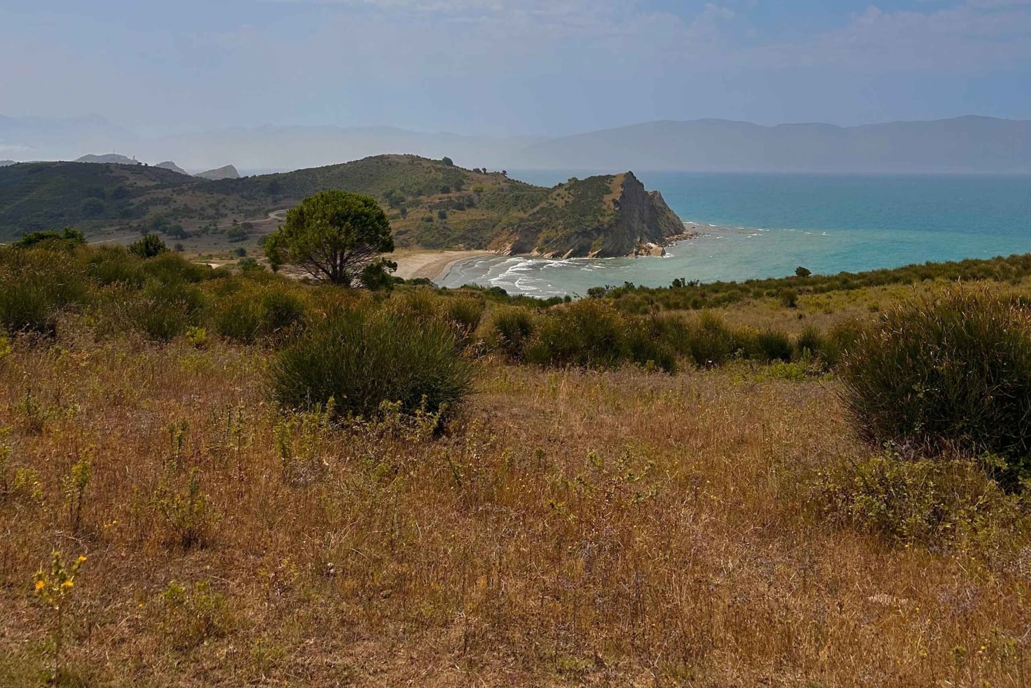 Wycieczka po dzikiej przyrodzie w najbardziej autentycznej i niedostępnej części Walencji.