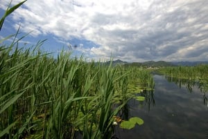 Esplorare il lago Skadar con viste mozzafiato: Viaggio panoramico