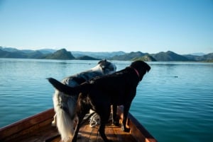 Utforsk Skadarsjøen med fantastisk utsikt: En reise med panoramautsikt