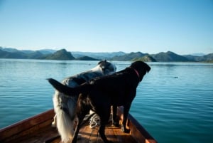 Virpazar: Lake Skadar Sightseeing Cruise