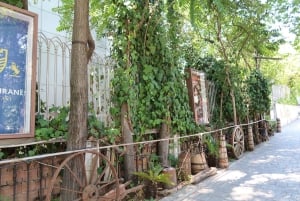 De communistische kanten en het historische centrum van Tirana