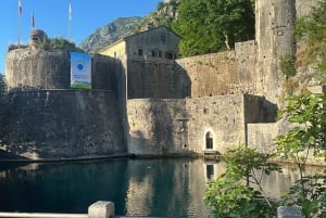 Dall'Albania: Tour di un giorno in Montenegro, Budva e S. Stefan
