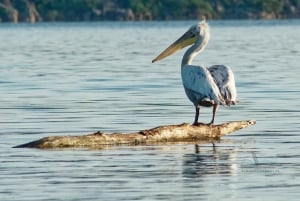 From Bar: Skadar Lake Land and Boat Tour