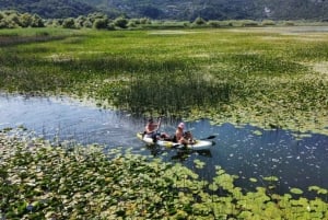 From Bar: Skadar Lake Land and Boat Tour