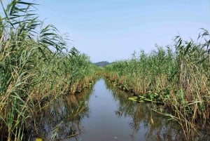 From Bar: Skadar Lake Land and Boat Tour