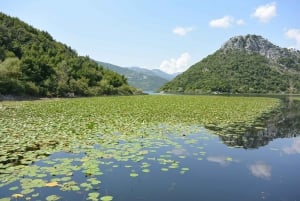 From Bar: Skadar Lake Land and Boat Tour