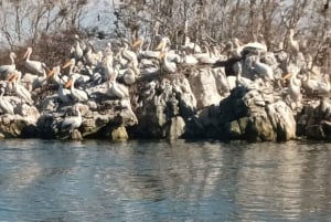 From Bar: Skadar Lake Land and Boat Tour