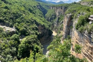 From Berat: Osumi Canyon, Bogova Waterfall, and Pirro Goshi…