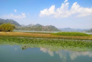 From Budva: Skadar Lake Land and Boat Tour