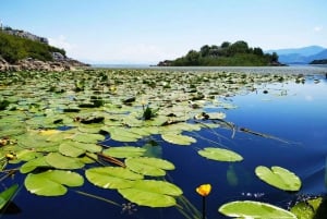 From Budva: Skadar Lake Land and Boat Tour