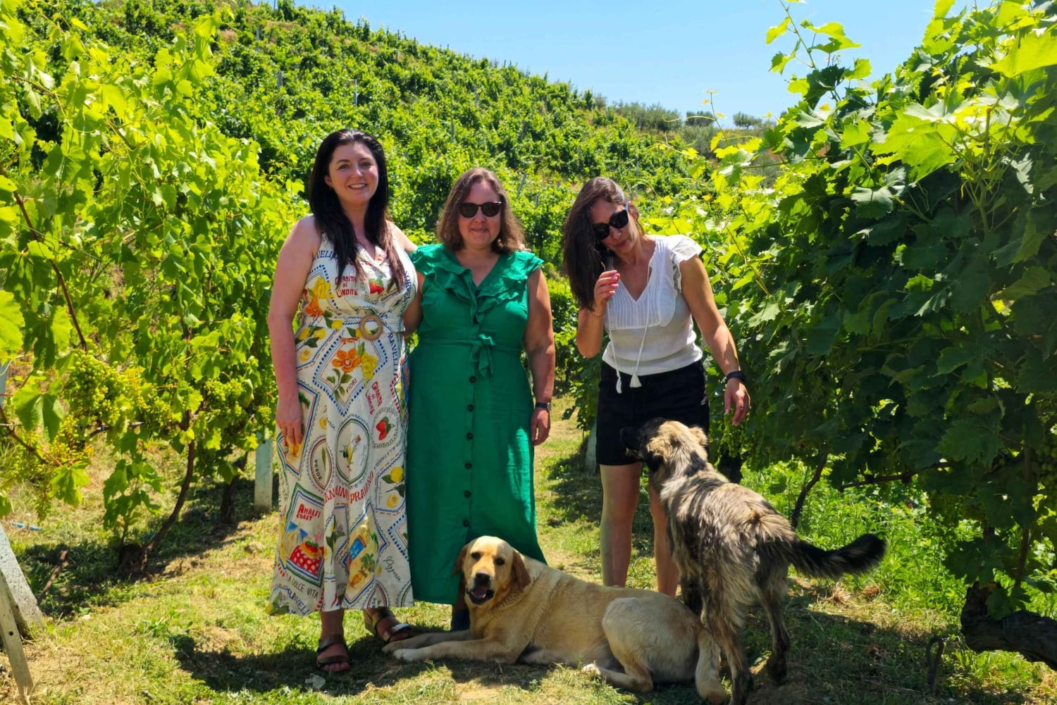 Из Дурреса: дегустация албанского вина с посещением виноградников и водной прогулкой