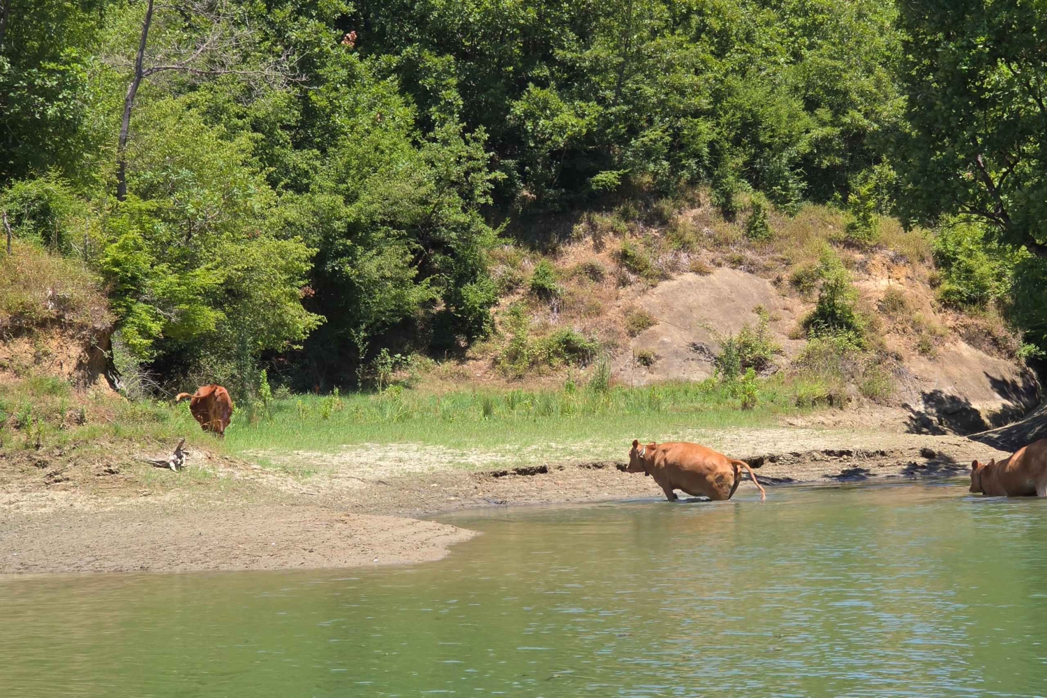 Из Дурреса: дегустация албанского вина с посещением виноградников и водной прогулкой