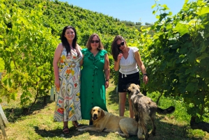 Из Дурреса: дегустация албанского вина с посещением виноградников и водной прогулкой