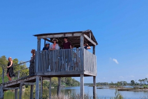 From Durrës: Karavasta Lagoon Birdwatching & Watch Tower