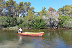 From Durrës: Karavasta Lagoon Birdwatching & Watch Tower