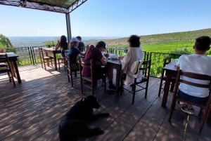 From Durrës: Karavasta Lagoon Birdwatching & Watch Tower