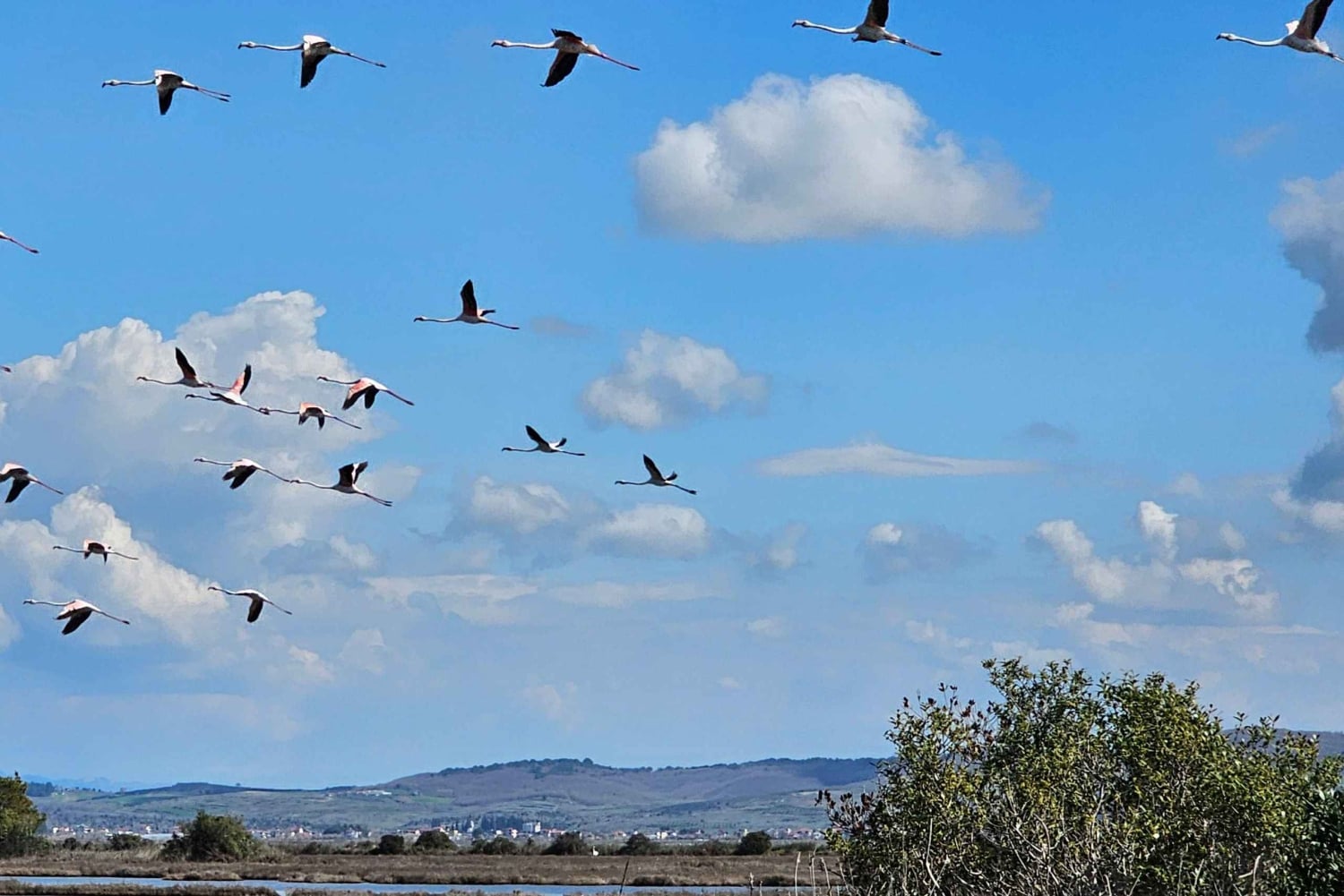 Au départ de Durrës : excursion d'une journée au parc national de Divjakë-Karavasta