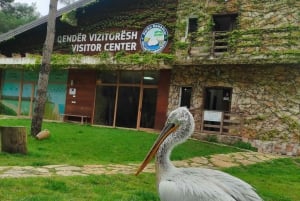 Depuis Durrës : Excursion d'une journée au parc national de Divjakë-Karavasta