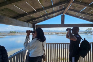 Depuis Durrës : Excursion d'une journée au parc national de Divjakë-Karavasta