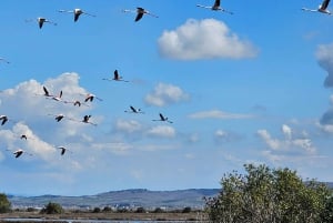 Depuis Durrës : Excursion d'une journée au parc national de Divjakë-Karavasta