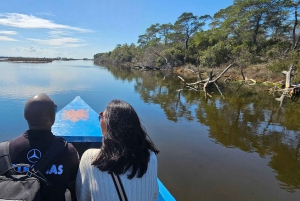 Depuis Durrës : Excursion d'une journée au parc national de Divjakë-Karavasta