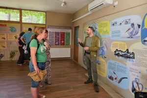 Depuis Durrës : Excursion d'une journée au parc national de Divjakë-Karavasta