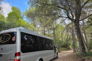 Depuis Durrës : Excursion d'une journée au parc national de Divjakë-Karavasta