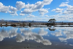 Au départ de Durrës : excursion d'une journée au parc national de Divjakë-Karavasta