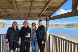 Au départ de Durrës : excursion d'une journée au parc national de Divjakë-Karavasta