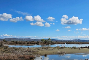 Au départ de Durrës : excursion d'une journée au parc national de Divjakë-Karavasta