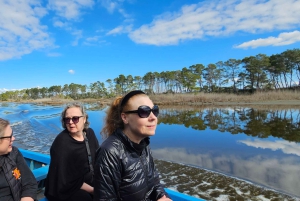 Au départ de Durrës : excursion d'une journée au parc national de Divjakë-Karavasta