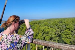 Au départ de Durrës : excursion d'une journée au parc national de Divjakë-Karavasta