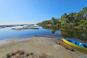 Au départ de Durrës : excursion d'une journée au parc national de Divjakë-Karavasta