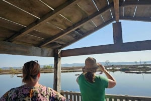 Au départ de Durrës : excursion d'une journée au parc national de Divjakë-Karavasta