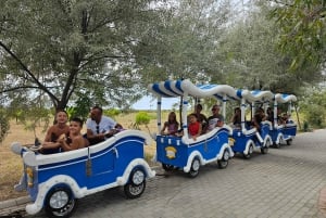 Au départ de Durrës : excursion d'une journée au parc national de Divjakë-Karavasta
