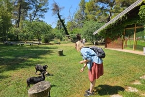 Au départ de Durrës : excursion d'une journée au parc national de Divjakë-Karavasta