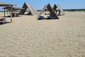 Au départ de Durrës : excursion d'une journée au parc national de Divjakë-Karavasta