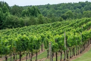 From Durres: Farmland, Vineyard & Wine Tasting Tour