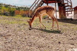 From Durres: Farmland, Vineyard & Wine Tasting Tour
