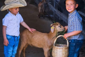 From Durres: Farmland, Vineyard & Wine Tasting Tour