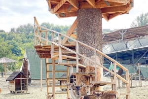 From Durres: Farmland, Vineyard & Wine Tasting Tour