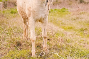 From Durres: Farmland, Vineyard & Wine Tasting Tour