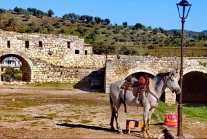 Desde Durrës/Golem: castillo de Berat y casco antiguo
